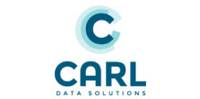 CARL DATA SOLUTIONS INC