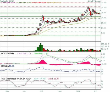 www.stockta.com - Chart Workhorse Grp
