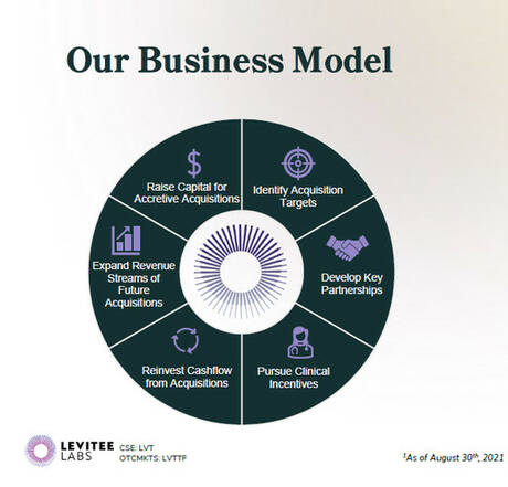 Levitee Labs Inc.: Our Business Model